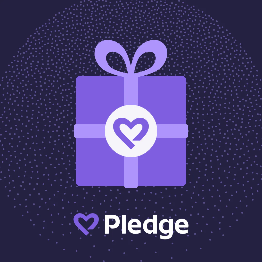 Donation to Beast Philanthropy - Image 12